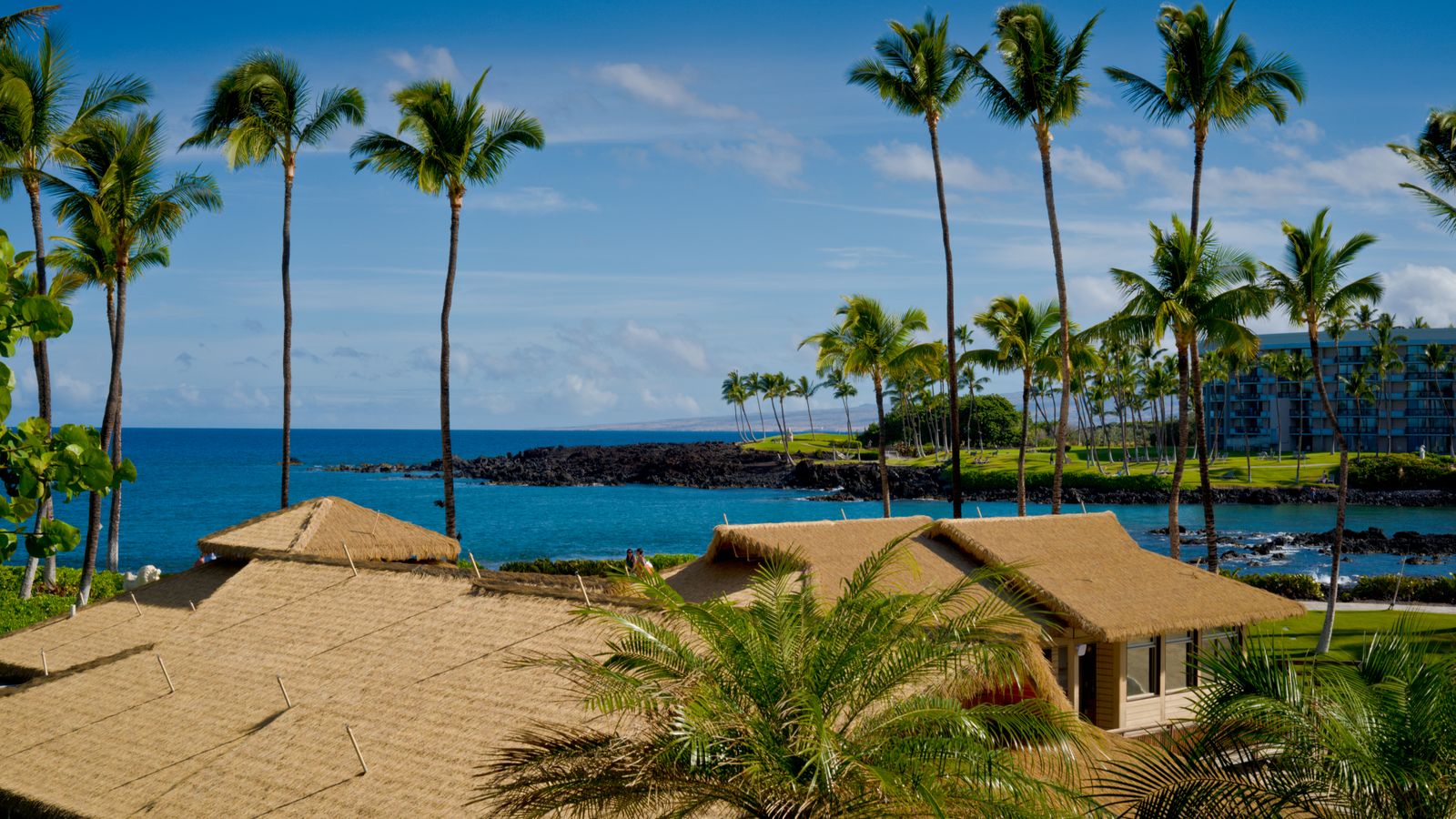 Tropical beachfront with palms in Hawaii