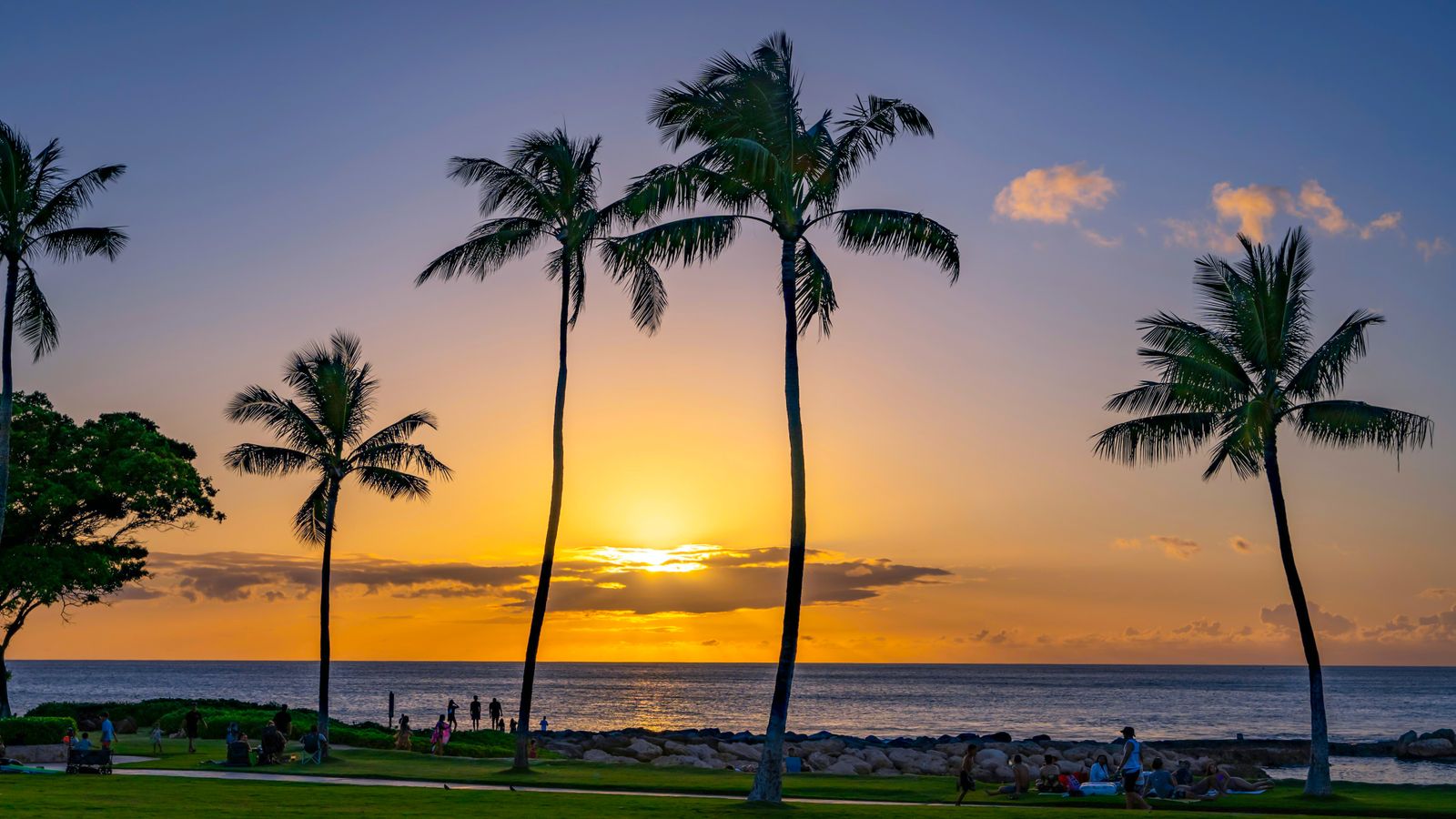Sunset through palm trees on the Hawaiian coast